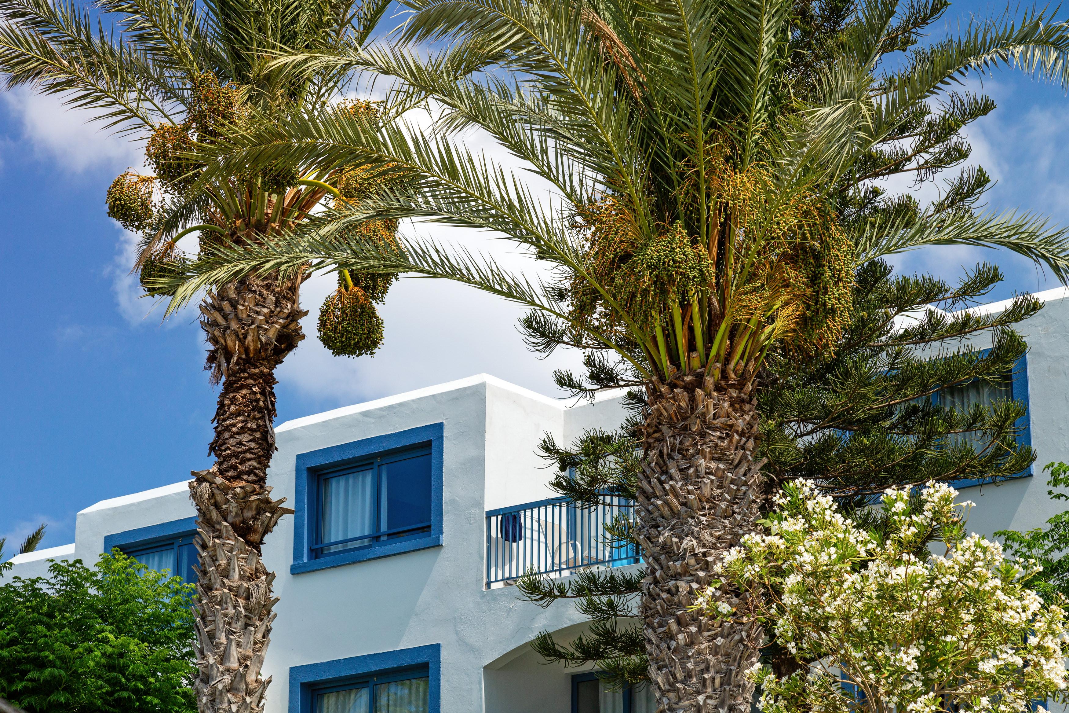 Nausicaa Beach Protaras Extérieur photo